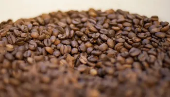 Ministério da Agricultura manda recolher 16 marcas de cafés impróprios para consumo 