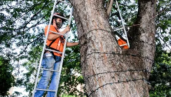 Roubo de fiação da rede elétrica preocupa autoridades de Maringá 