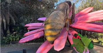 Exposição de insetos gigantes no Parque do Ingá tem data de abetura anunciada; confira 