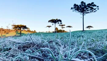 Temperaturas próximas de 0ºC: primeira onda de frio chega ao Paraná na próxima semana 