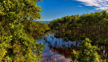 Feriado prolongado na natureza: unidades de conservação do Paraná estarão abertas nos próximos dias 