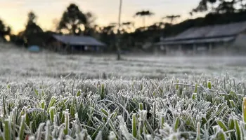 Paraná pode registrar temperaturas de até -2°C; confira previsão