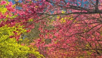 Primavera terá temperaturas altas e tempestades, afirma Simepar Primavera terá temperaturas altas e tempestades, afirma Simepar