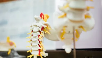 Paciente em Maringá é o primeiro paranaense a receber tratamento experimental contra lesão medular 