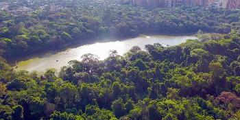 Semana do Meio Ambiente tem programação especial 