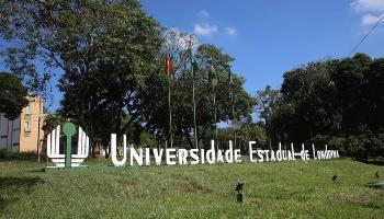 Pesquisa da UEL avalia sequelas nos recuperados da Covid-19 