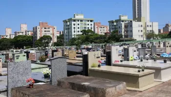 Diferença entre nascimentos e óbitos cai 92% e atinge o menor patamar da história no Paraná 