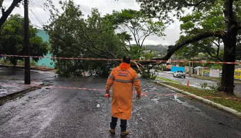 Rajadas de vento de 99 km/h foram registradas em Maringá durante temporal Rajadas de vento de 99 km/h foram registradas em Maringá durante temporal