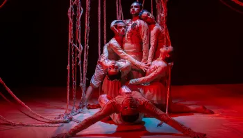 Nó Coletivo de Artes estreia “Nossos nós” no Teatro Reviver Magó 