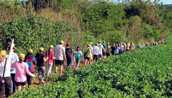 Prefeitura de Paiçandu abre inscrições para 13ª Caminhada na Natureza 