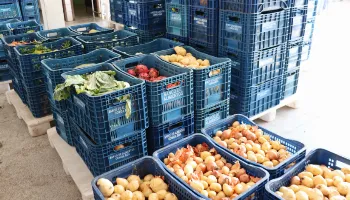 Veja orientações de como evitar o desperdício de frutas, verduras e hortaliças 