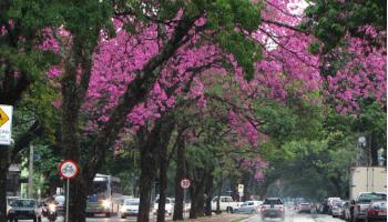 Com início neste sábado (20), Inverno de 2020 terá temperaturas acima da média 