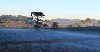 Saiba quando termina a onda de frio no Paraná 