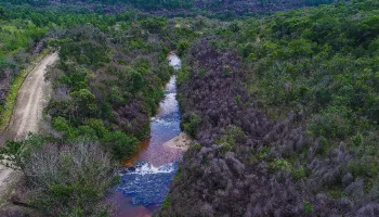 Longe da folia: quatro Parques do Paraná para visitar durante o Carnaval Longe da folia: quatro Parques do Paraná para visitar durante o Carnaval