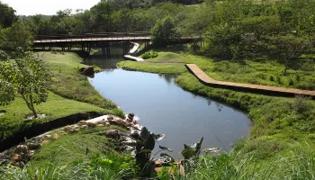 Parque de Ibiporã, a 25 km de Londrina, tem grandes obras expostas a céu aberto; veja fotos 