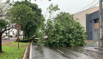Com chuva de granizo, tempestade desta madrugada causa estragos em Maringá 