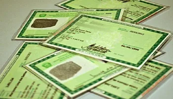 Mudanças de gênero em cartórios do Paraná tiveram aumento de 229% nos últimos oito anos 