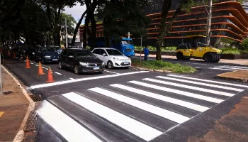 Pintura de sinalização na Avenida Carneiro Leão altera trânsito neste sábado (17) 