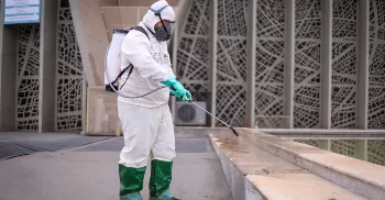 Maringá registrou apenas dois casos de dengue em um mês 
