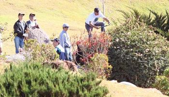 Parque do Japão terá mutirão de limpeza neste sábado Parque do Japão terá mutirão de limpeza neste sábado