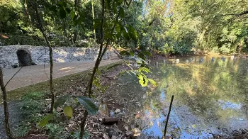 Após oito anos, nascentes voltam a aparecer no lago da gruta do Parque do Ingá 