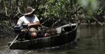 INSS paga R$ 874 milhões a pescadores; entenda 