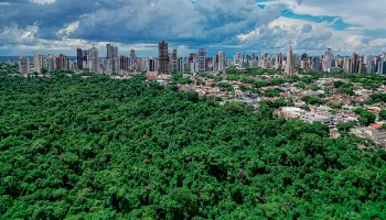 Prazo de solicitação do IPTU Verde para 2026 vai até 14 de agosto