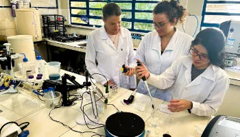 Pelo sexto ano consecutivo, UEM lidera ranking de produção científica feminina no Brasil 