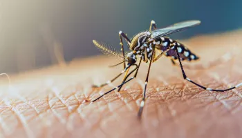 Mais de 3,5 mil casos de dengue foram confirmados no Paraná na última semana 