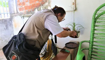 Mutirões de combate à dengue serão realizados nos bairros de Maringá todo sábado 