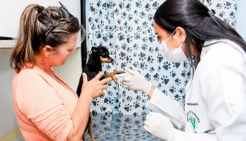 Bem-Estar Animal nos Bairros tem início nesta terça-feira (21) no Jardim Três Lagoas 