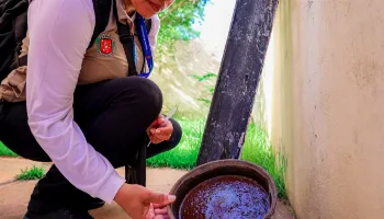 Prefeitura orienta comunidade a eliminar focos do mosquito da dengue; saiba como 