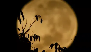 Superluas de agosto: saiba como observar o raro fenômeno astronômico 