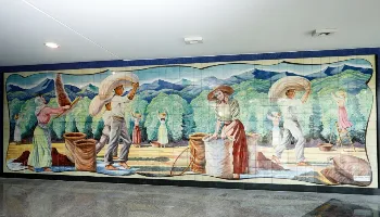 Painel do Café é inaugurado no Teatro Calil Haddad de Maringá 
