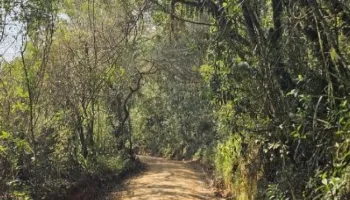 Caminhadas da Natureza no Paraná: confira a programação de setembro 