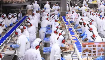 Há vagas: Gtfoods Group contrata profissionais com e sem experiência