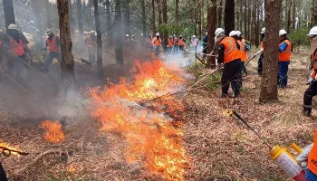 Incêndios florestais caem 50% em agosto, mas tempo seco em setembro preocupa 