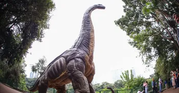 Exposição 'Jurássico Condor' chega à última semana no Parque do Ingá 