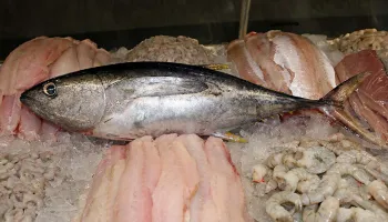 Veja orientações de como escolher o melhor pescado para as celebrações de Páscoa 