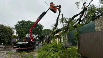 Rajadas de vento chegam a 86 km/h durante temporal em Maringá, de acordo com Simepar 