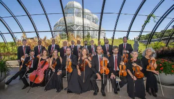 Orquestra de Câmara da Cidade de Curitiba se apresenta nesta terça (13), em Maringá 