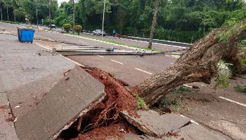 Quatro dias após tempestade, comércios e residências continuam sem energia elétrica em Maringá 