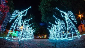 Licitação da prefeitura para instalações das luzes de Natal tem valor de até R$ 2,3 milhões 