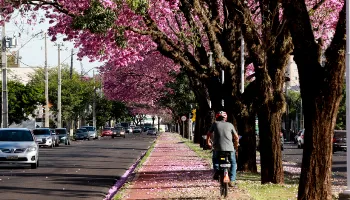 Maringá terá mais 14 km de ciclovias até o fim de 2024 