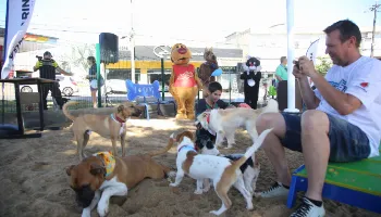 Maringá terá ‘Semana dos Animais’ com ações educativas, feira de adoção e vacinação de pets 