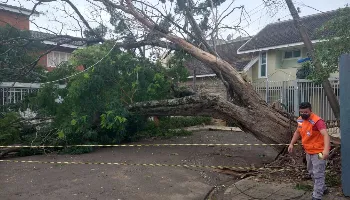 Após rápida tempestade, cerca de 2 mil imóveis seguem sem energia em Maringá 