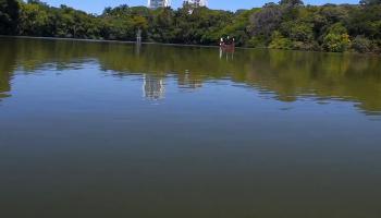 Plano de Manejo do Parque do Ingá é aberto para consulta pública 