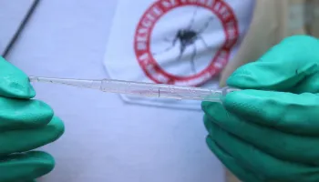 Boletim epidemiológico aponta 2,9 mil novos casos de dengue no Paraná 