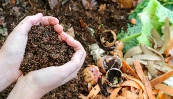 Curso gratuito de compostagem doméstica tem inscrições abertas em Maringá 