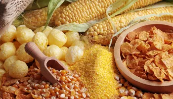 Prefeitura de Marialva abre inscrições para curso culinário gratuito de derivados de milho 